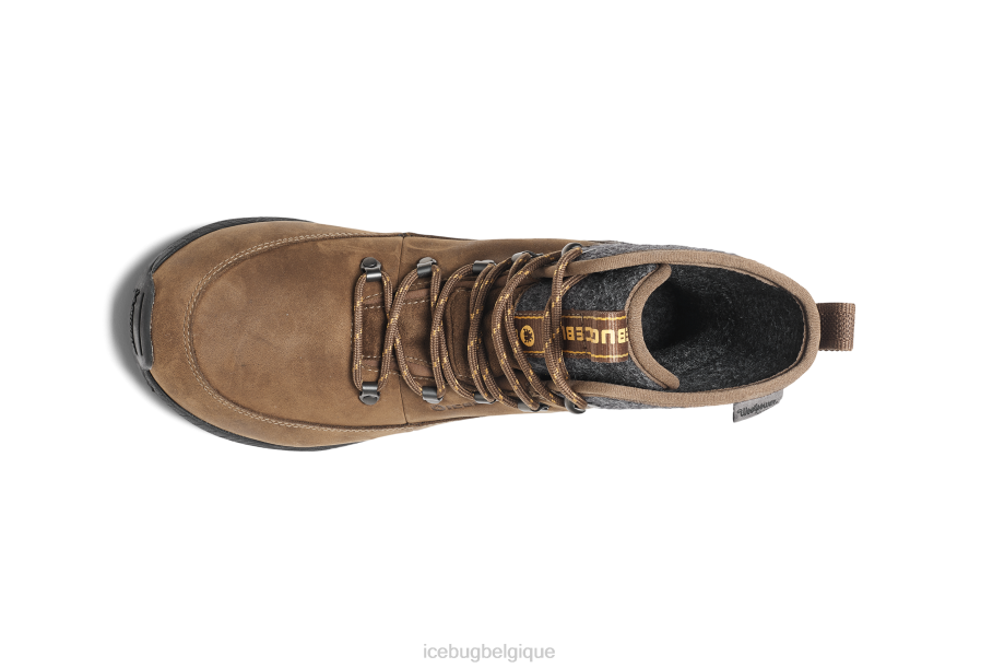 chaussure Icebug adak rewool michelin café/gris femmes R064J47