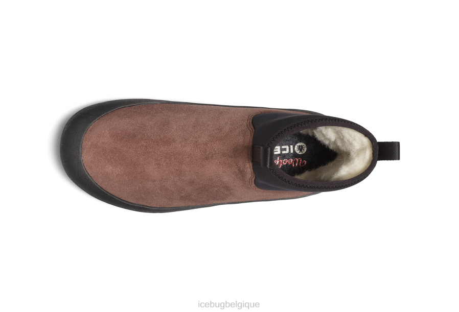 chaussure Icebug dala biosole Expresso femmes R064J39